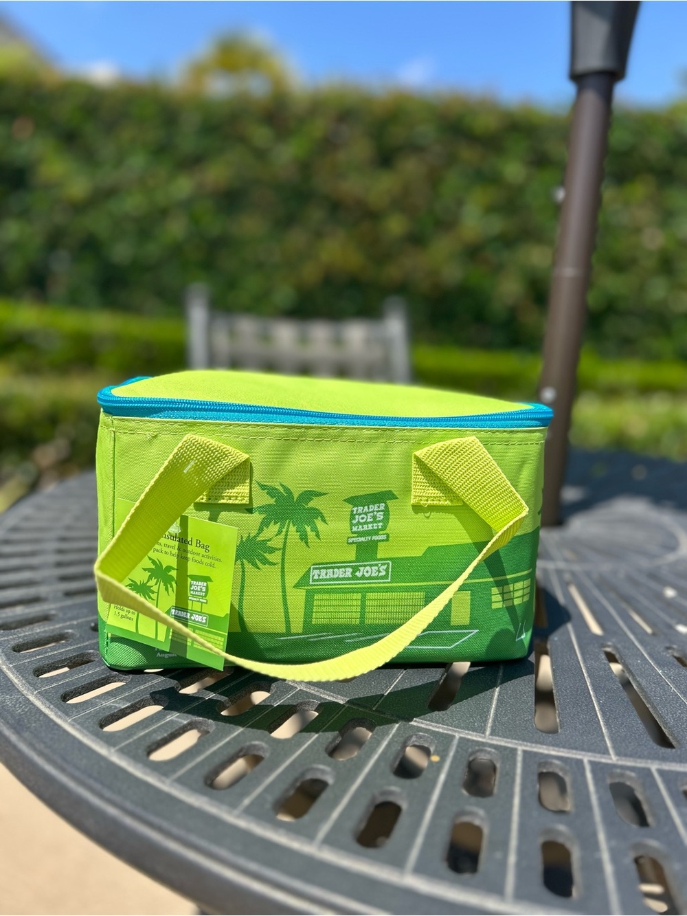 Trader Joe’s mini bag